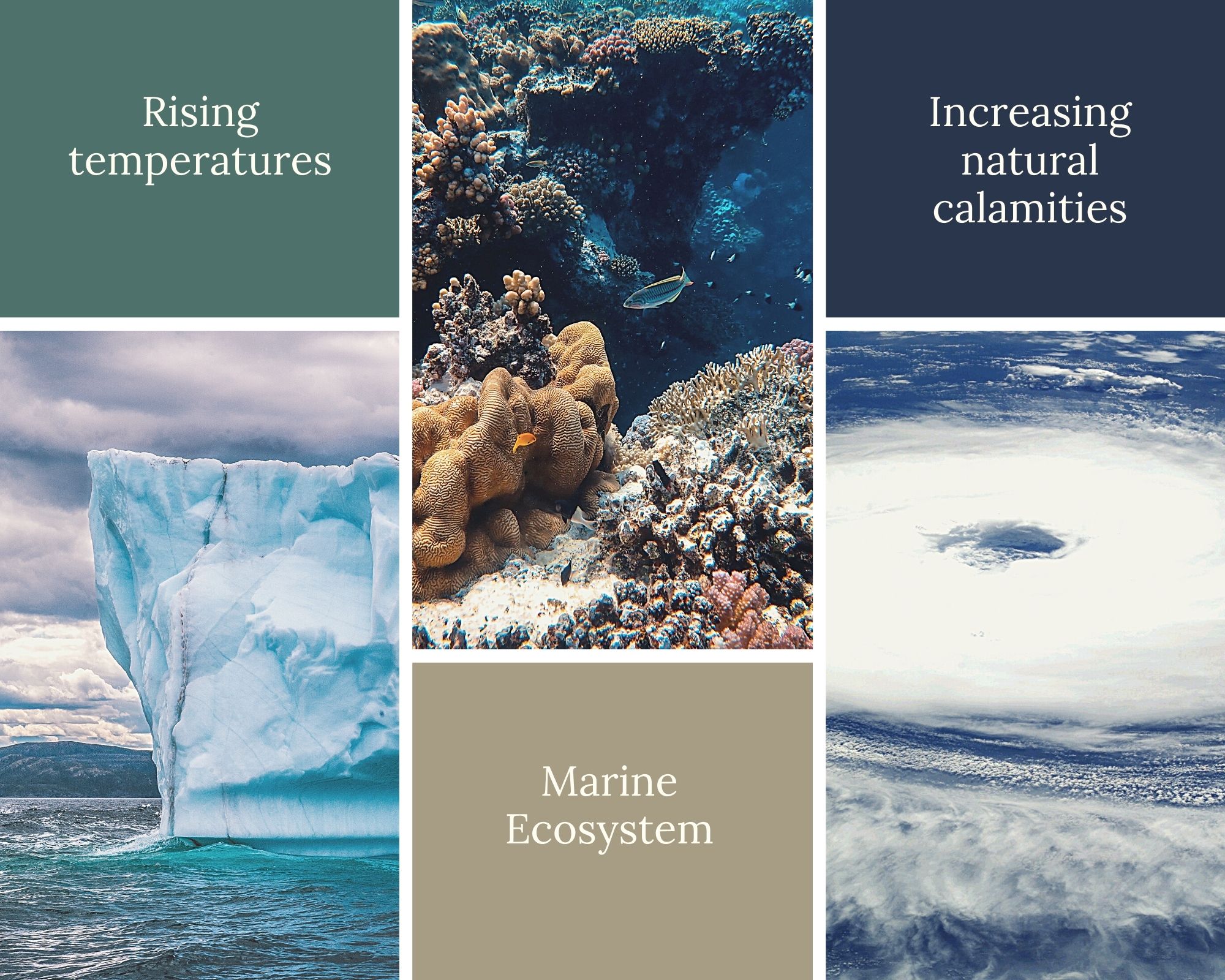 Effects of climate change