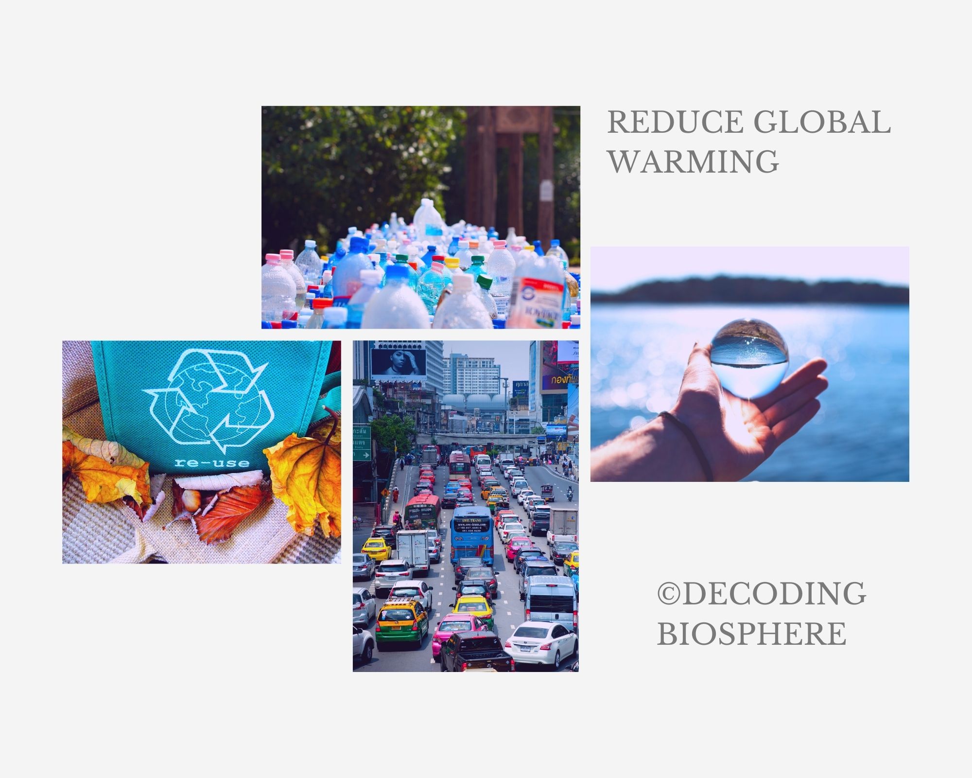 Reduce Global Warming