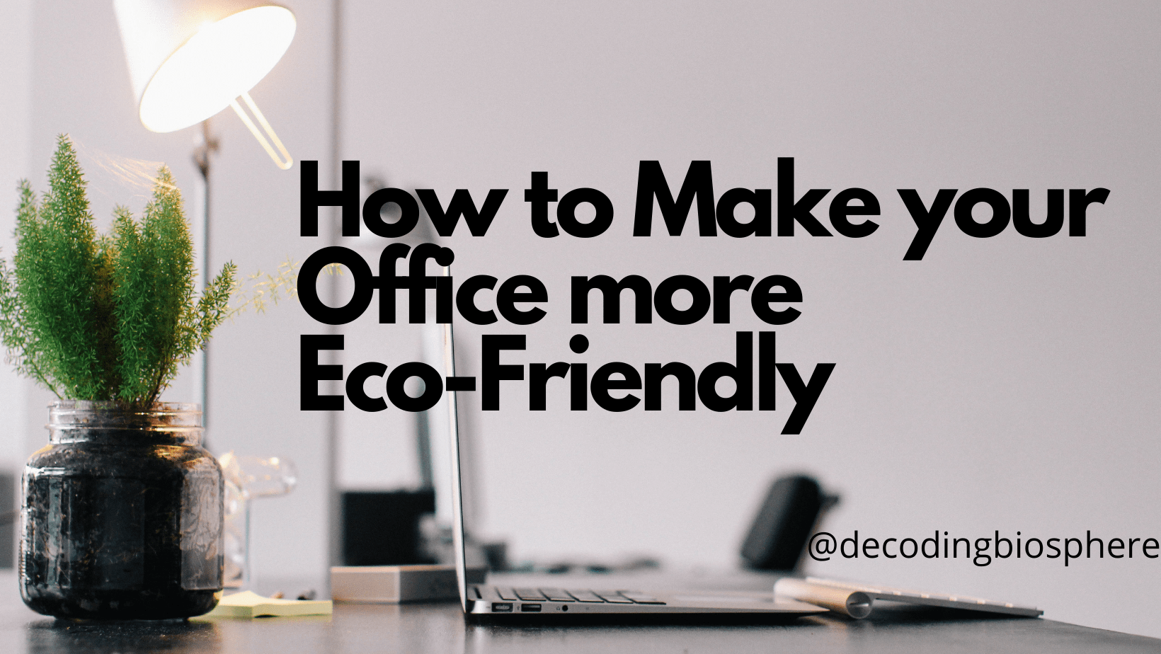 Office more Eco-Friendly
