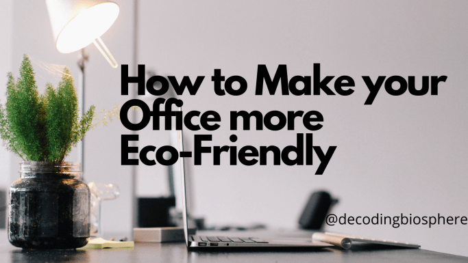 Office more Eco-Friendly