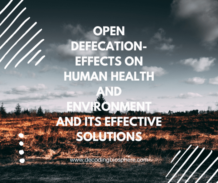 Open Defecation- Effects on Human Health and Environment and its Effective Solutions