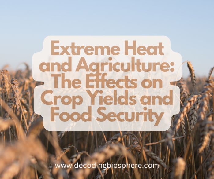 Extreme Heat and Agriculture