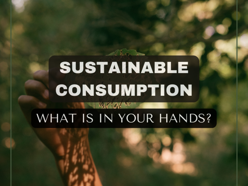 Sustainable Consumption: What is in your hands?