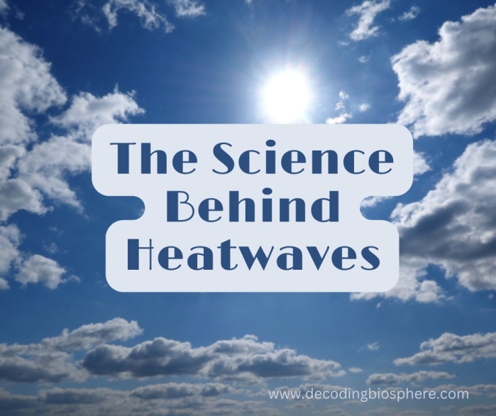 The Science Behind Heatwaves