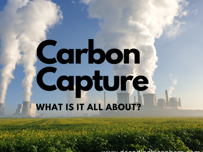 Carbon Capture: What is it all About?