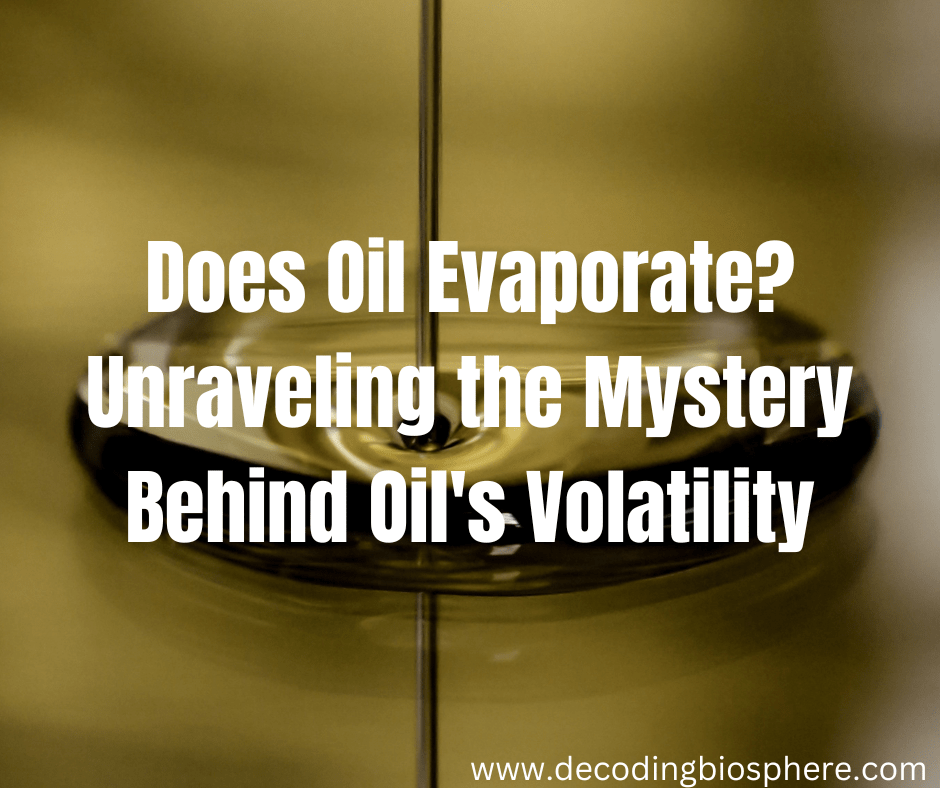 Does Oil Evaporate? Unraveling the Mystery Behind Oil’s Volatility