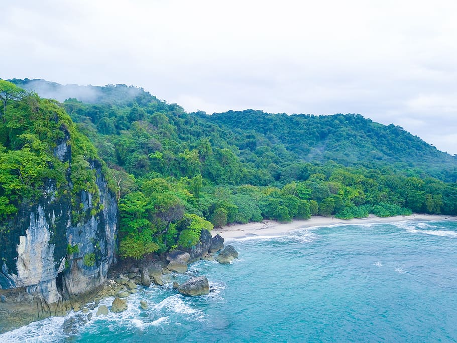 Costa Rica's Rainforests