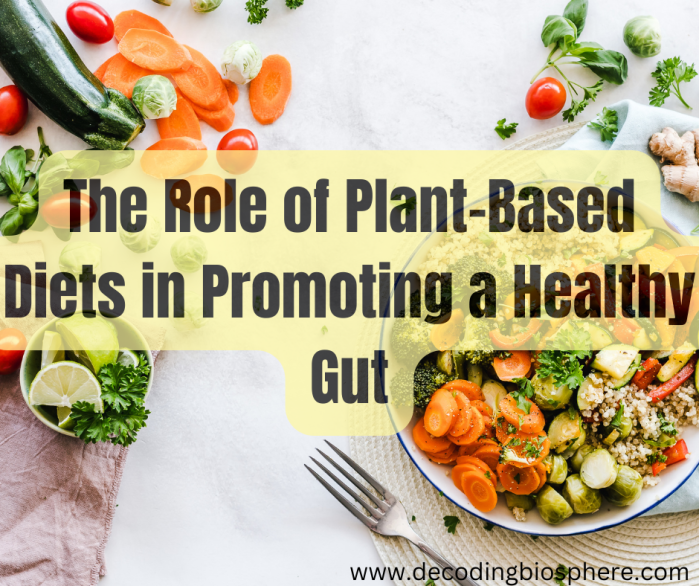 The Role of Plant-Based Diets in Promoting a Healthy Gut