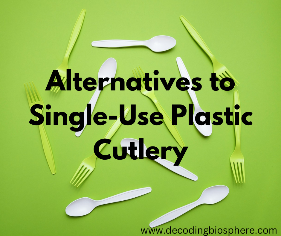 Choose Alternatives to SingleUse Plastic Cutlery A Sustainable Choice