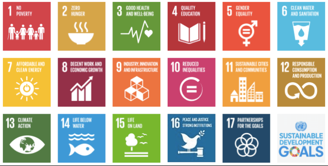 17 Sustainable Development Goals (SDGs)
