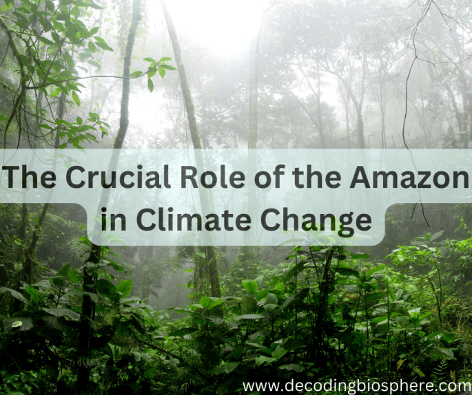 The Crucial Role of the Amazon in Climate Change