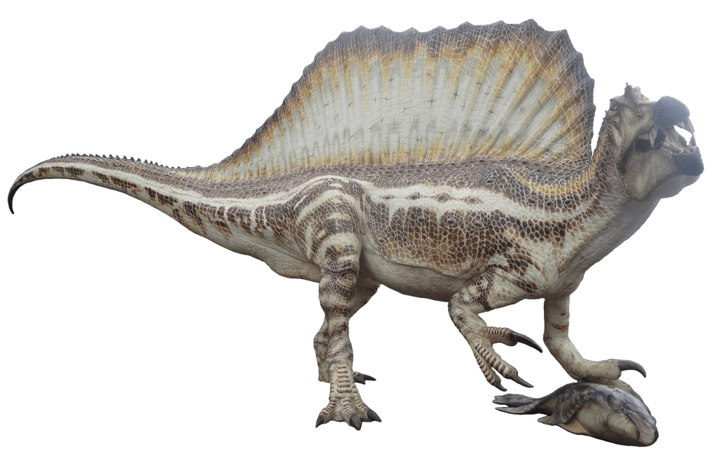 Spinosaurus 