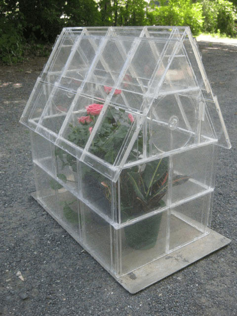 CD jewel case transformed into a mini greenhouse