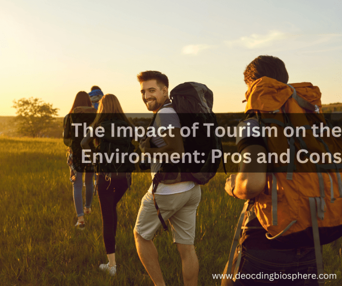 The Impact of Tourism on the Environment: Pros and Cons