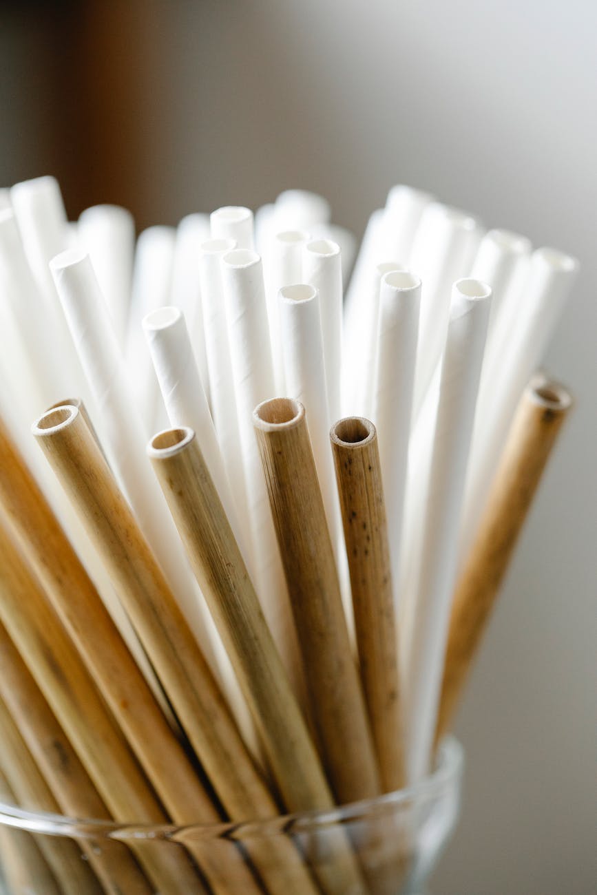 Bamboo Straws