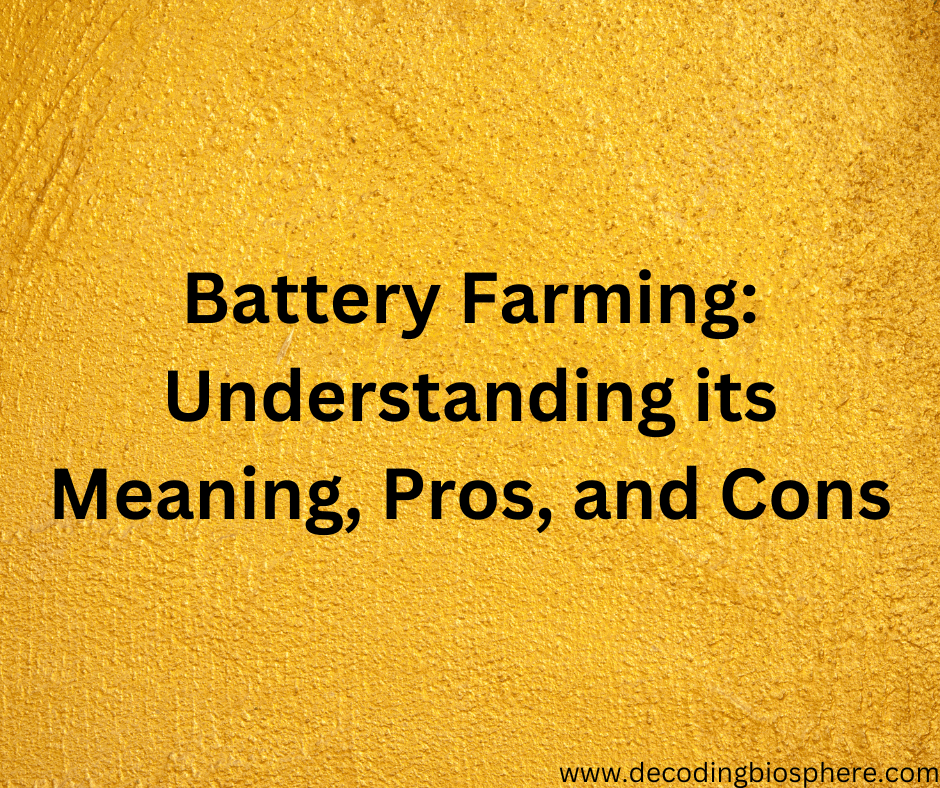 Battery Farming: Understanding its Meaning, Pros, and Cons