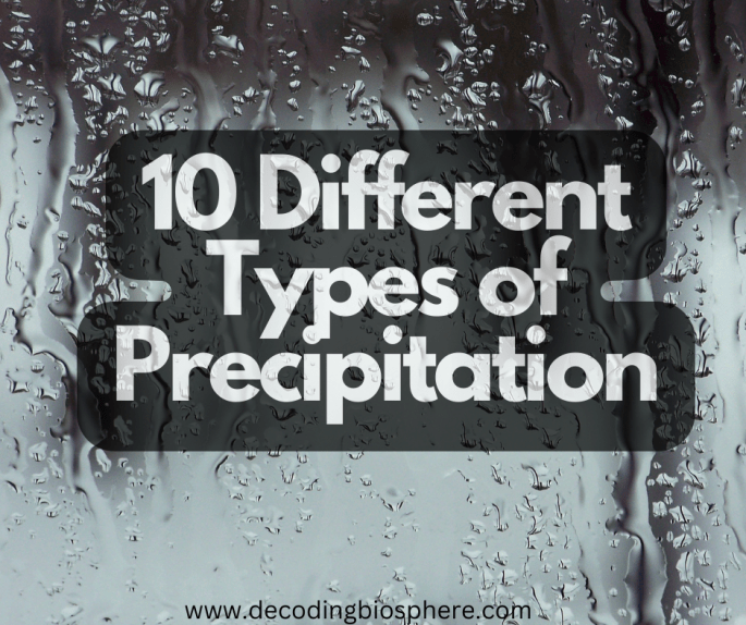 10 Different Types of Precipitation