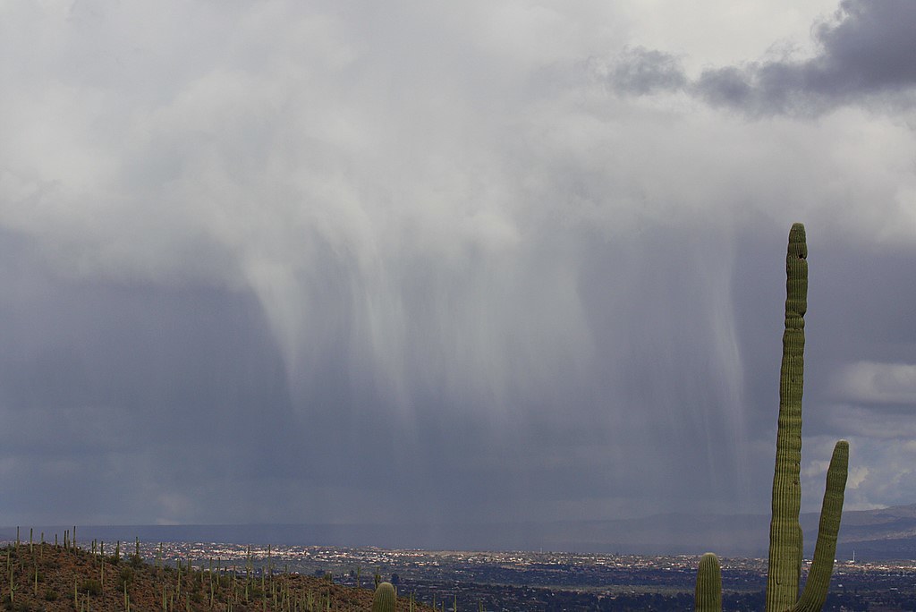 Virga