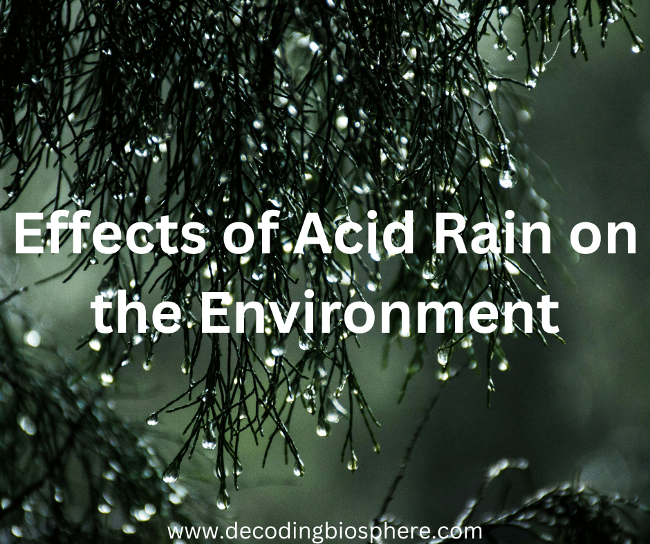 Effects of Acid Rain on the Environment
