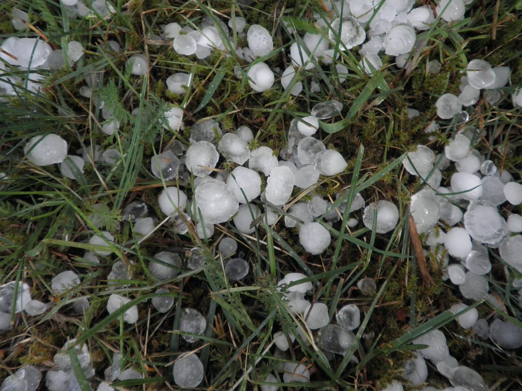 hailstones