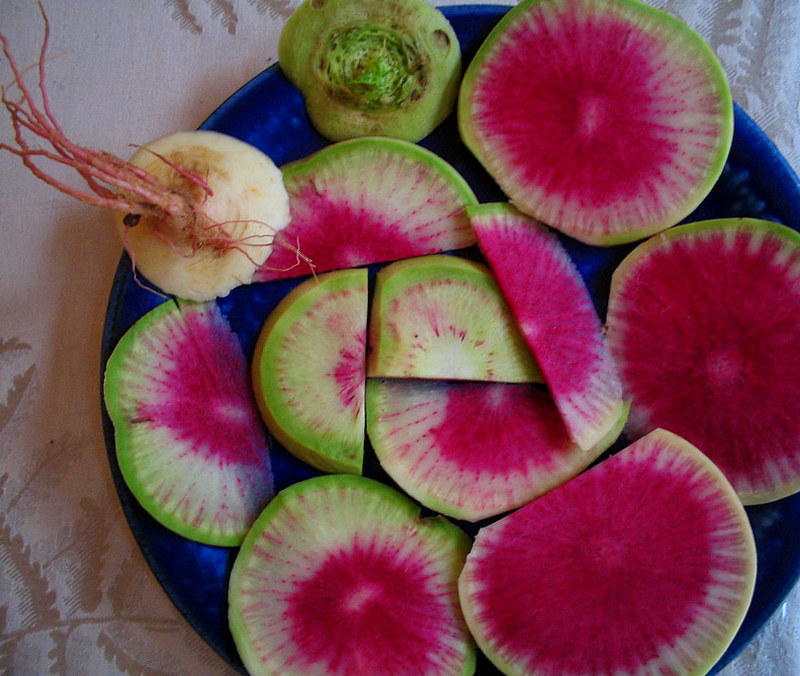 watermelon radish