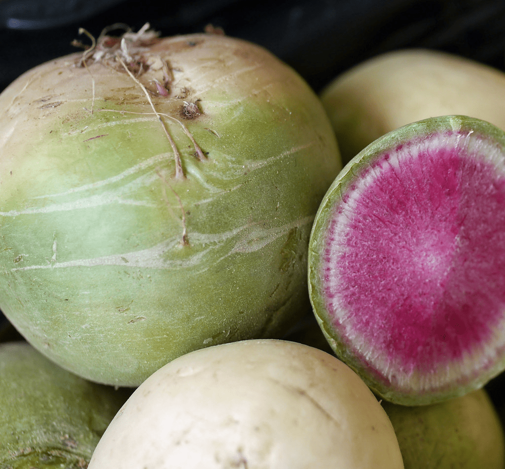 watermelon radish