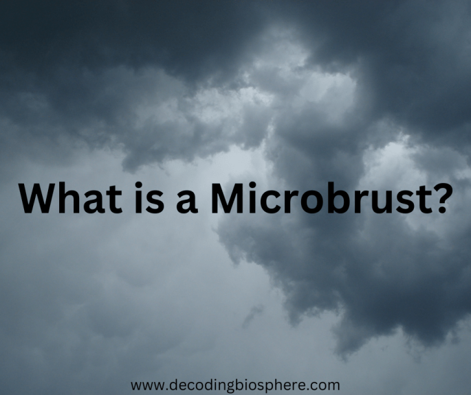 What is a Microbrust?