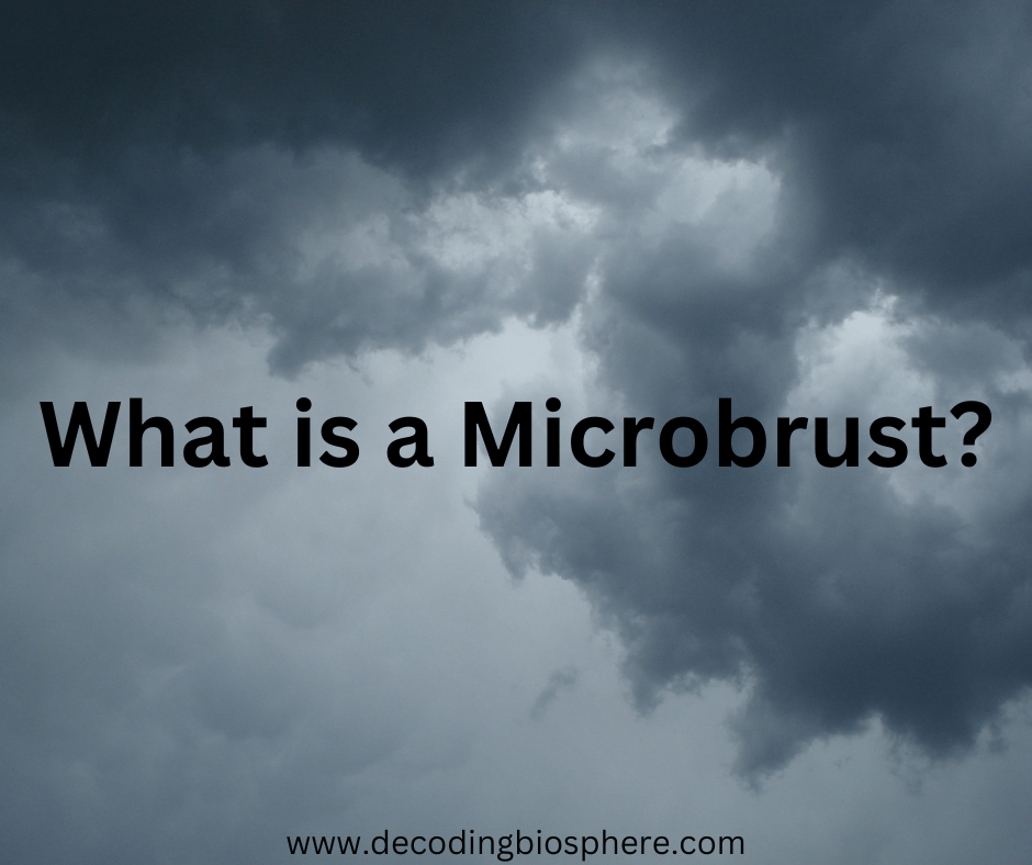 What is a Microbrust?
