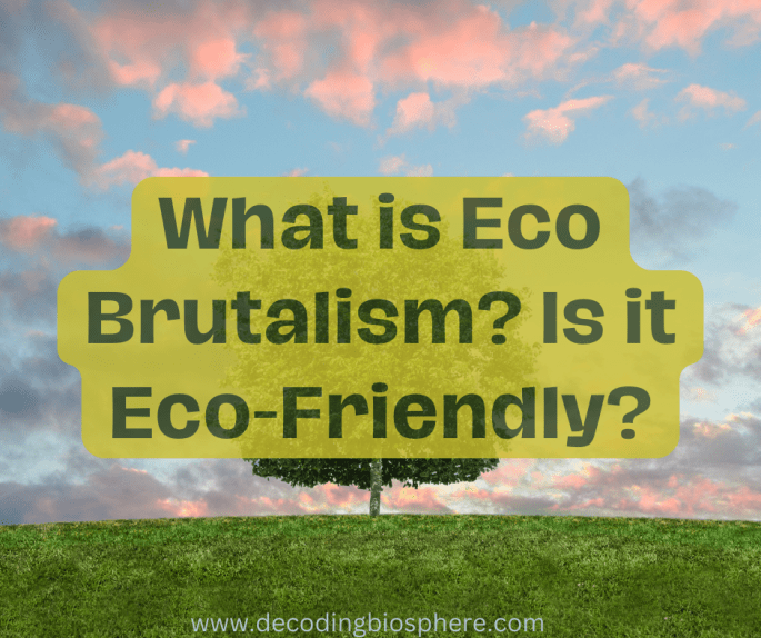 What is Eco Brutalism
