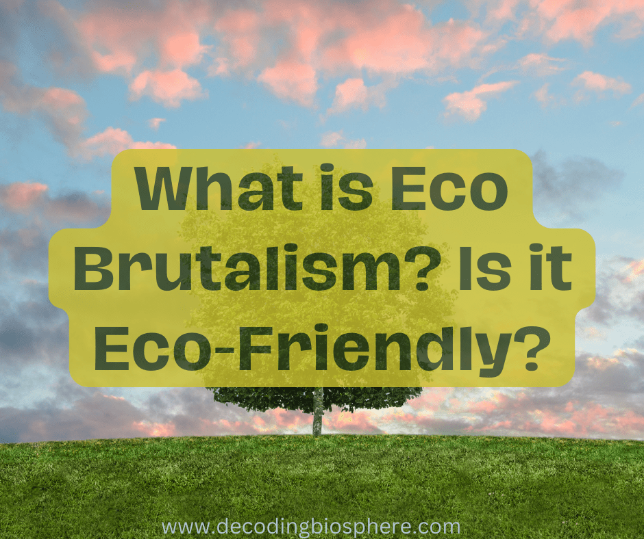 What is Eco Brutalism