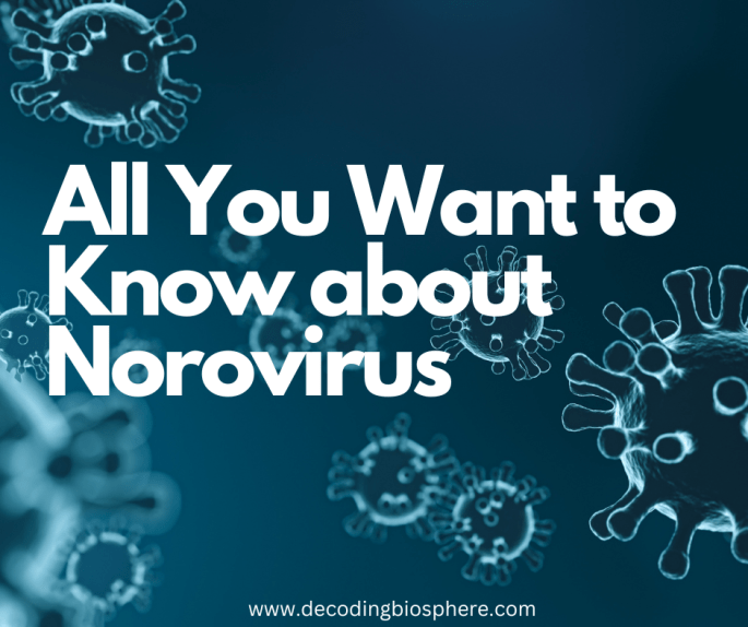 norovirus