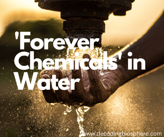 Forever Chemicals in Water