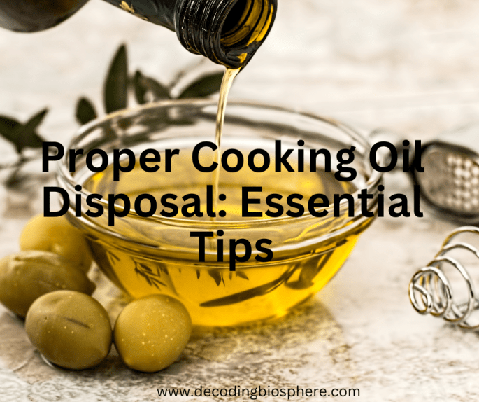Proper Cooking Oil Disposal Essential Tips