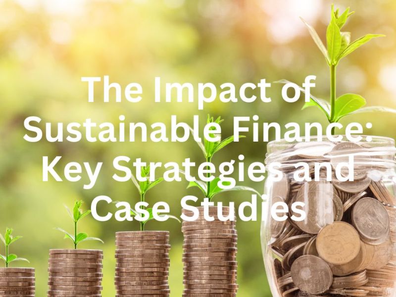The Impact of Sustainable Finance: Key Strategies and Case Studies