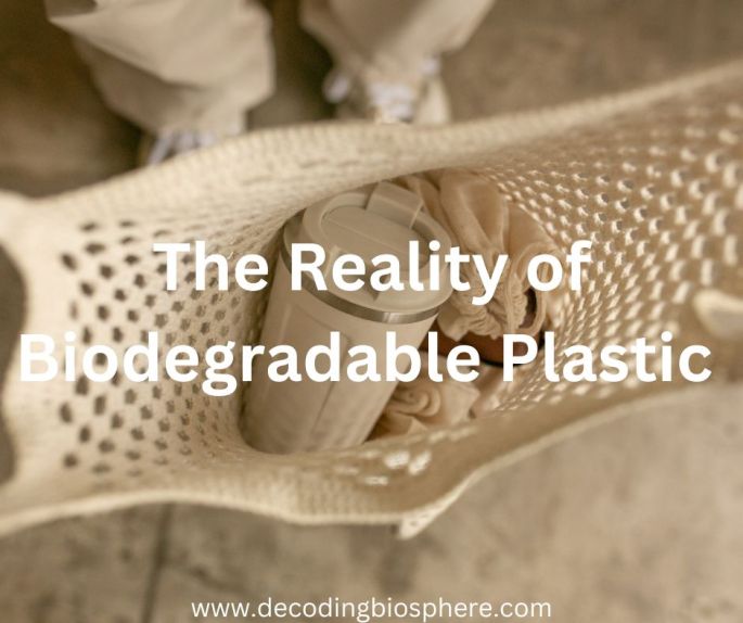 The Reality of Biodegradable Plastic