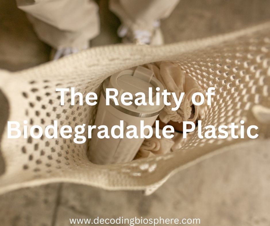 The Reality of Biodegradable Plastic