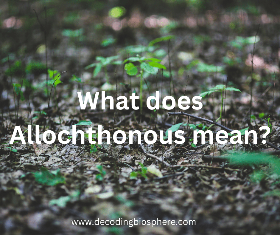 What does Allochthonous mean