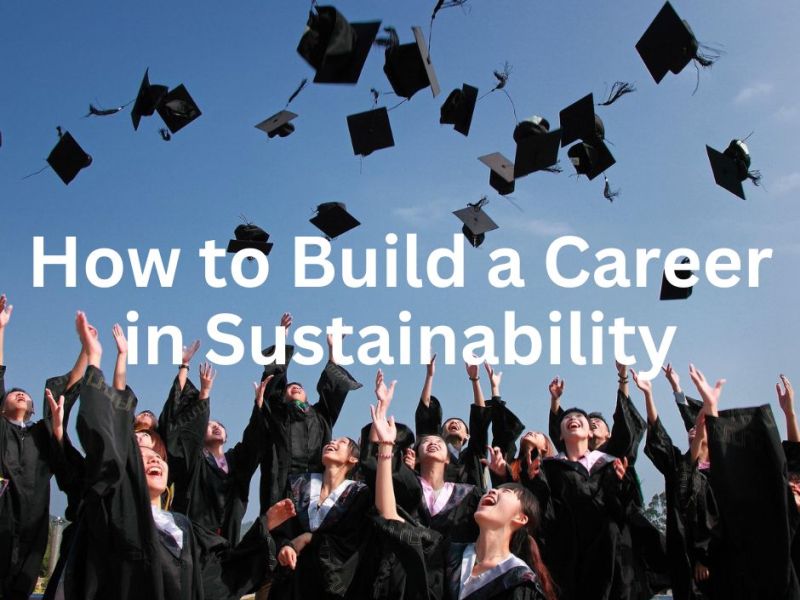 How to Build a Career in Sustainability: Education and Job Opportunities