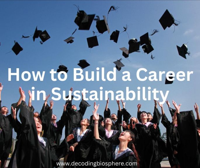 How to Build a Career in Sustainability