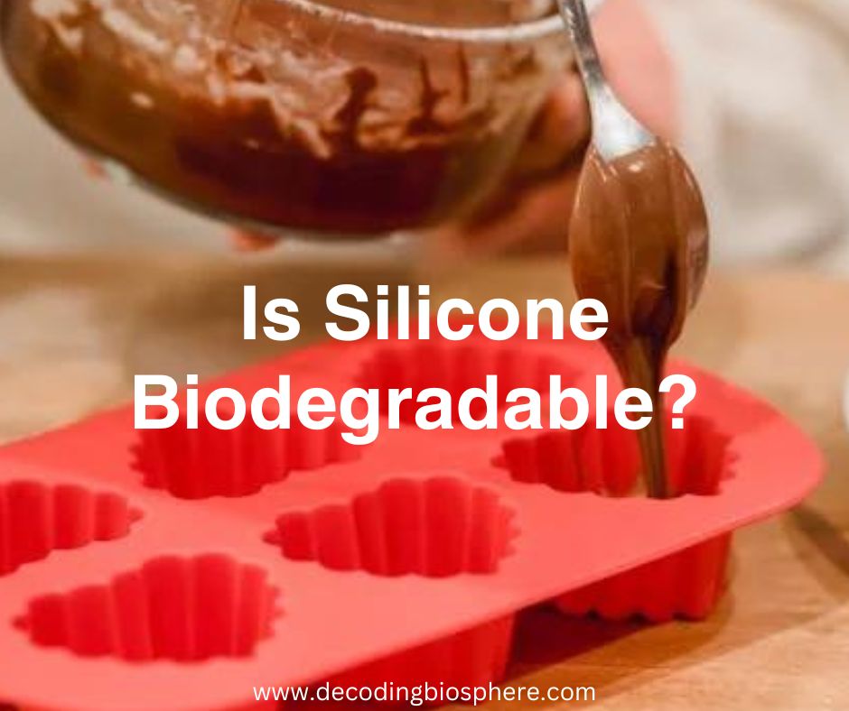 Is Silicone Biodegradable