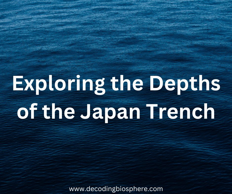Japan Trench