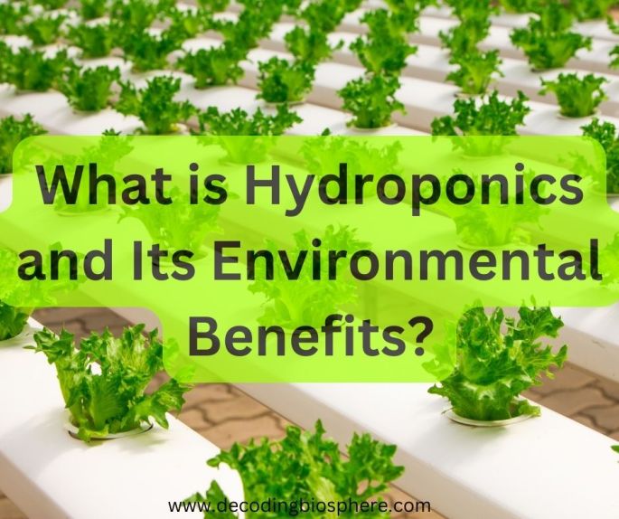 Hydroponics