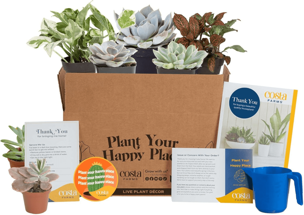 Plant Subscription