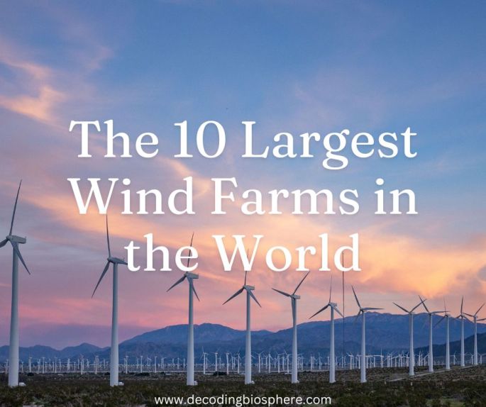 The 10 Largest Wind Farms in the World