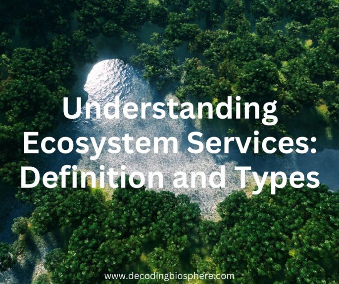 Understanding Ecosystem Services: Definition and Types