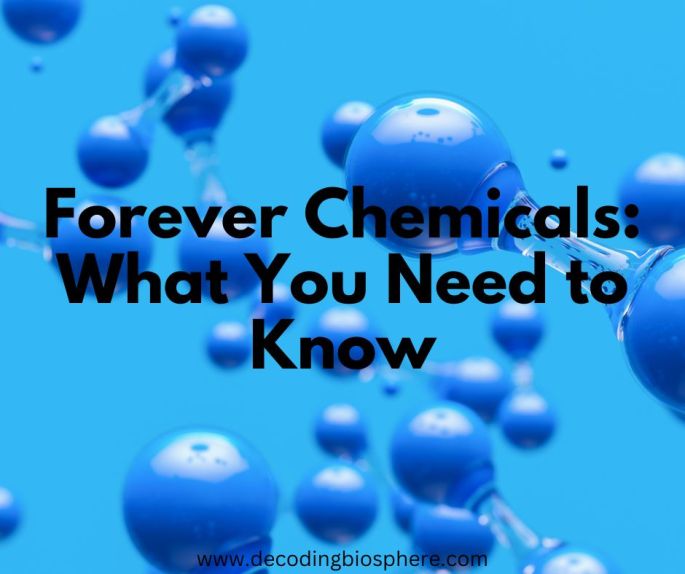 Forever Chemicals: What You Need to Know