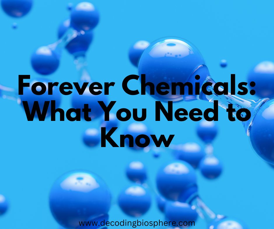 Forever Chemicals: What You Need to Know