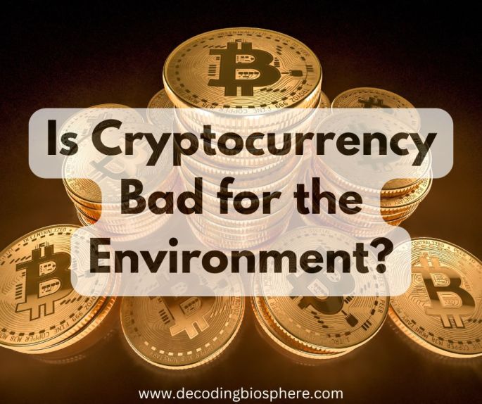 Is Cryptocurrency Bad for the Environment?