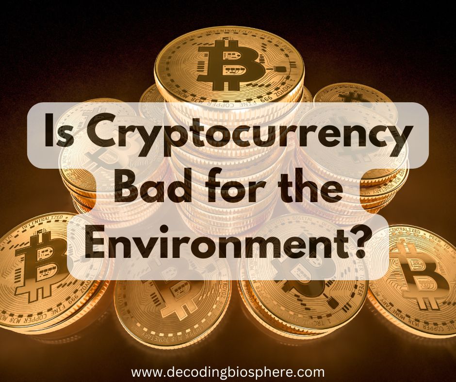 Is Cryptocurrency Bad for the Environment?