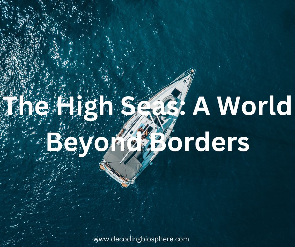 The High Seas: A World Beyond Borders